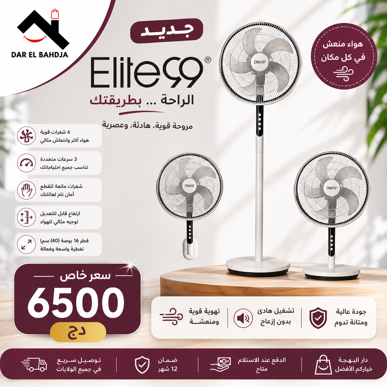 Ventilateur Sur Pied Elite99