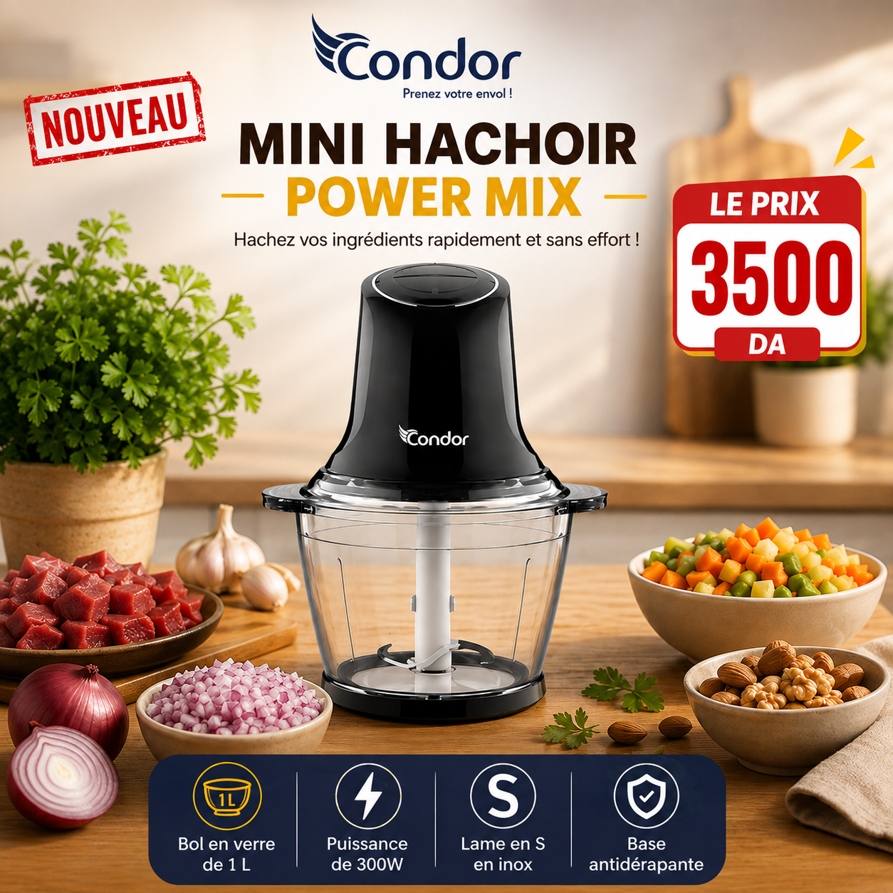 Mini Hachoir Condor PowerMix 300W