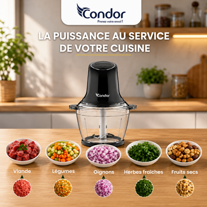 Mini Hachoir Condor PowerMix 300W
