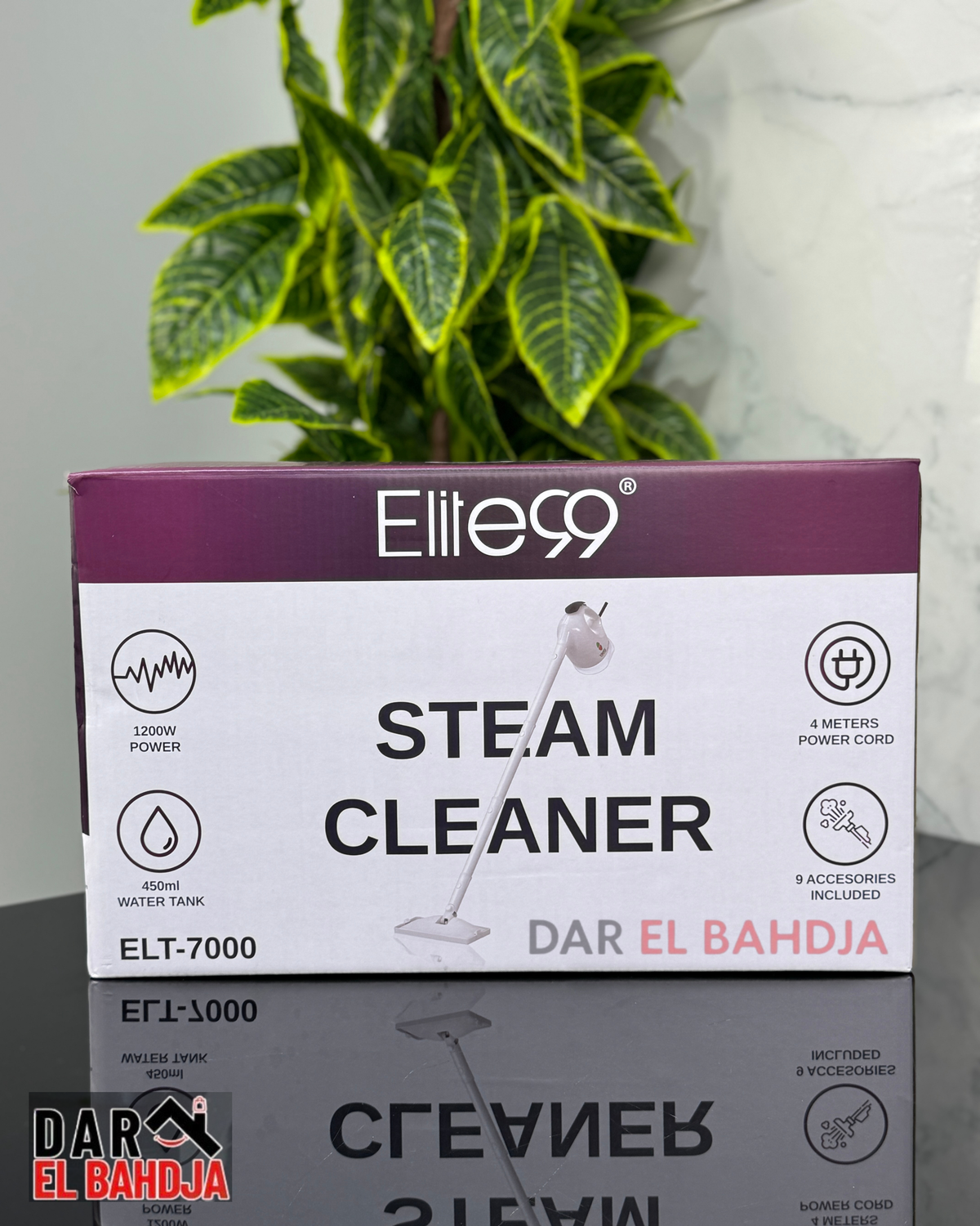 nettoyeur à vapeur ELITE99