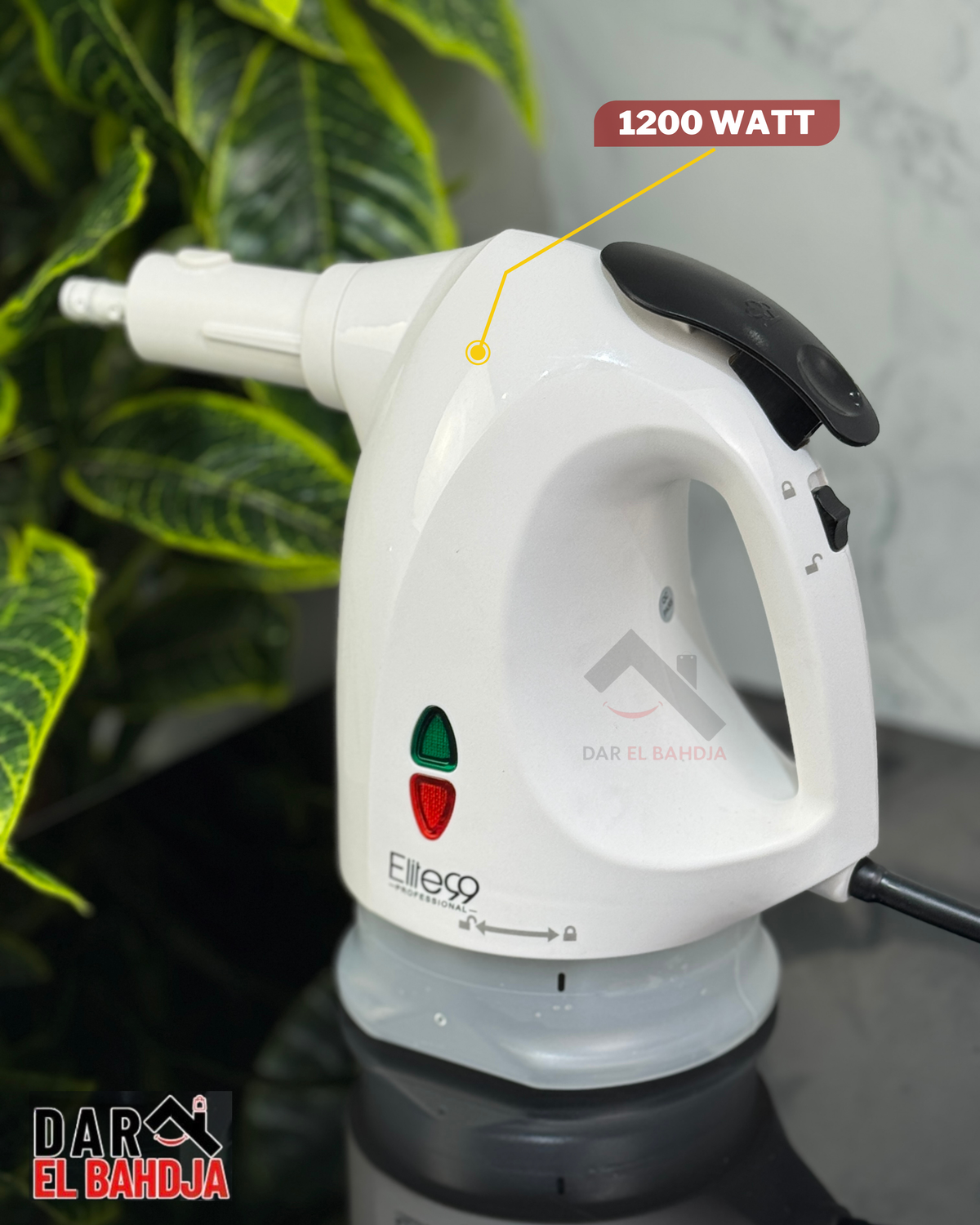 nettoyeur à vapeur ELITE99