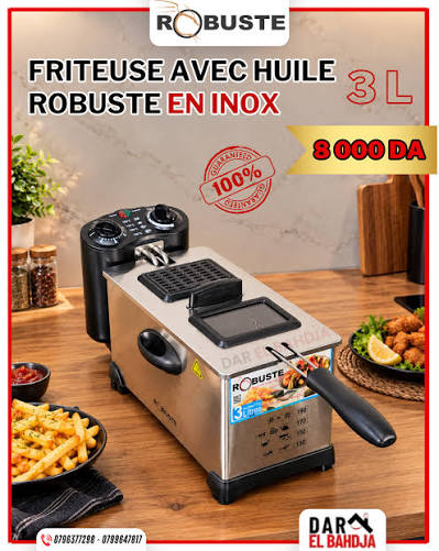Friteuse electrique ROBUSTE 3L  avec huile